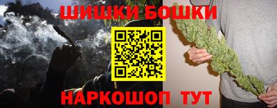 крисы Камышлов