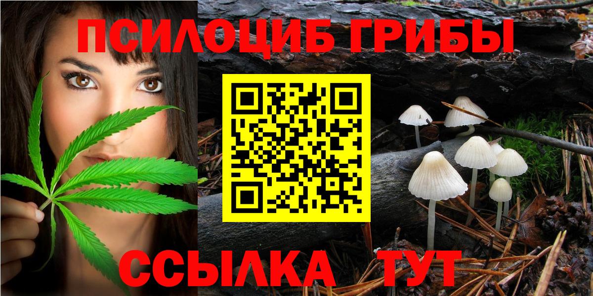 Псилоцибиновые грибы Psilocybine cubensis  купить наркотики сайты  Вход с VPN  Пятигорск  Галлюциногенные грибы Magic Shrooms 