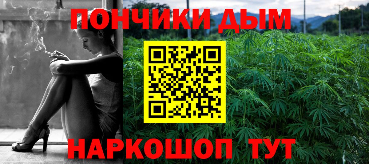Канабис ГИДРОПОН Пятигорск